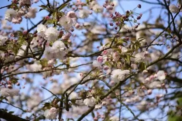 3月最佳旅行地出炉 再别错过了！