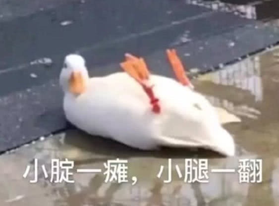 超搞笑的怼人v小腿小腿:小腚一摊表情一翻,凡尘捂心流汗表情图片图片