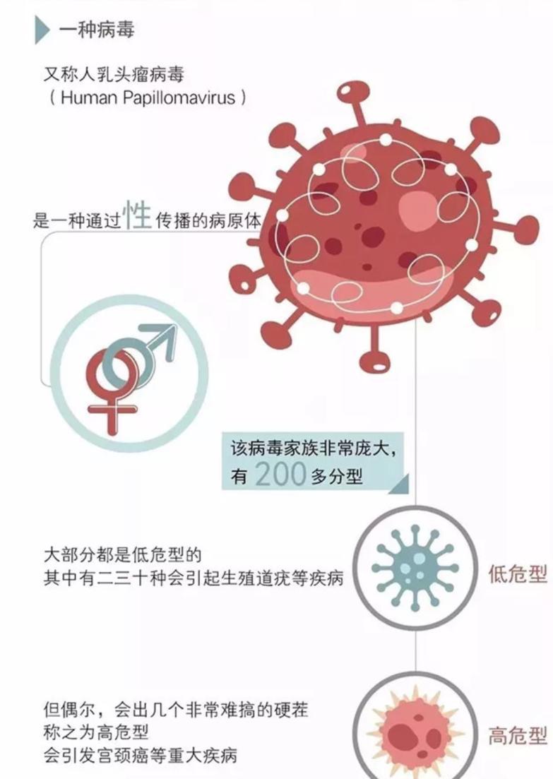 老年人为什么会感染HPV病毒?