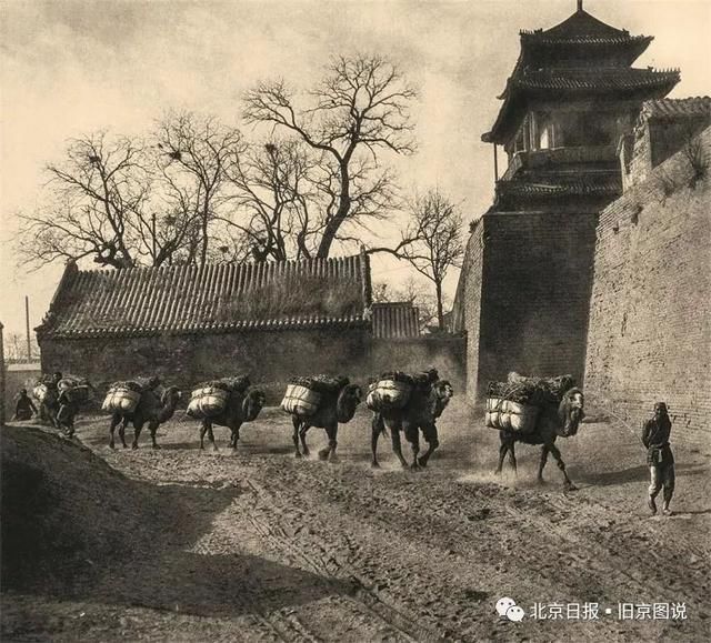 他为北京拍下66张美图，却死在日军集中营