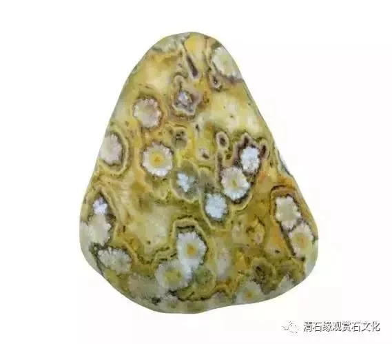 “石不能言最可人”，玩石是一种态度 图