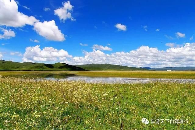 四川著名的九大藏地草原，名气、美景都是响当当，你去过几个！