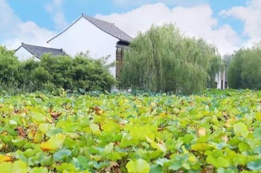 上海地址随便来一个