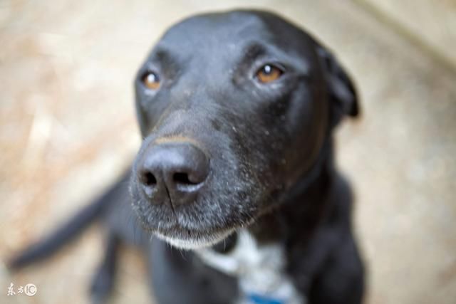 男子走夜路,遇两鬼差勾魂,阴差阳错下竟完成了