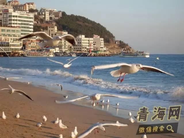 小长假别再出国了!浪了青海，就等于浪了全世界，不信你看!