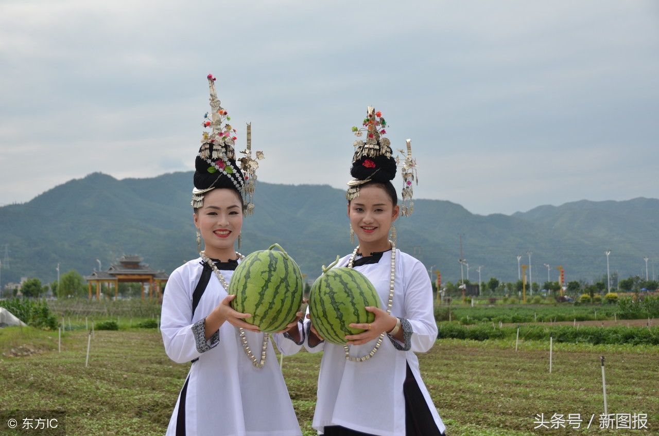 全国各地的早熟西瓜上市啦!看看都有哪些地方?