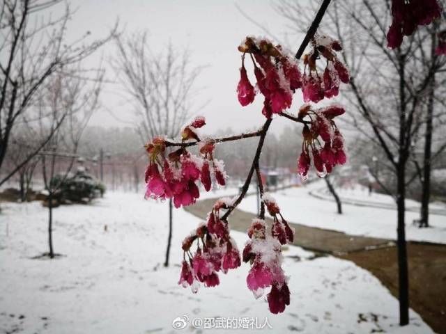 福建下雪啦：你可欣赏过白雪皑皑银装素裹的家乡？