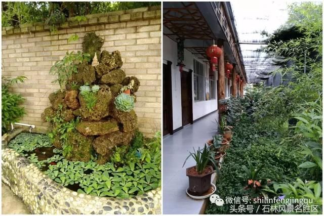 羊的盛宴大快朵颐烤全羊
