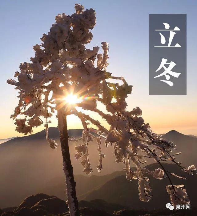 泉州又要火了！乘风破浪的姐姐来录团综，还将......
