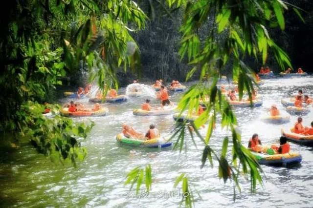 清远百亩向日葵惊艳绽放，还有七彩花田、漂流…… 现在来刚刚好