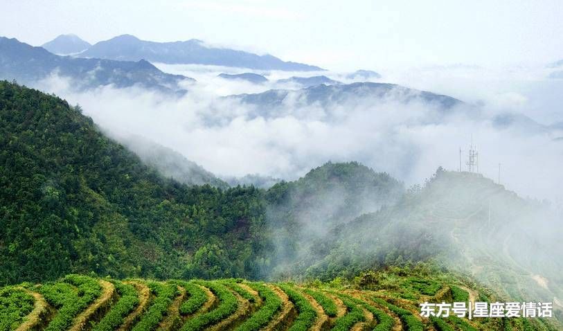 此3生肖不再受穷，正月初九后横运来，事业旺到天，钞票数不尽