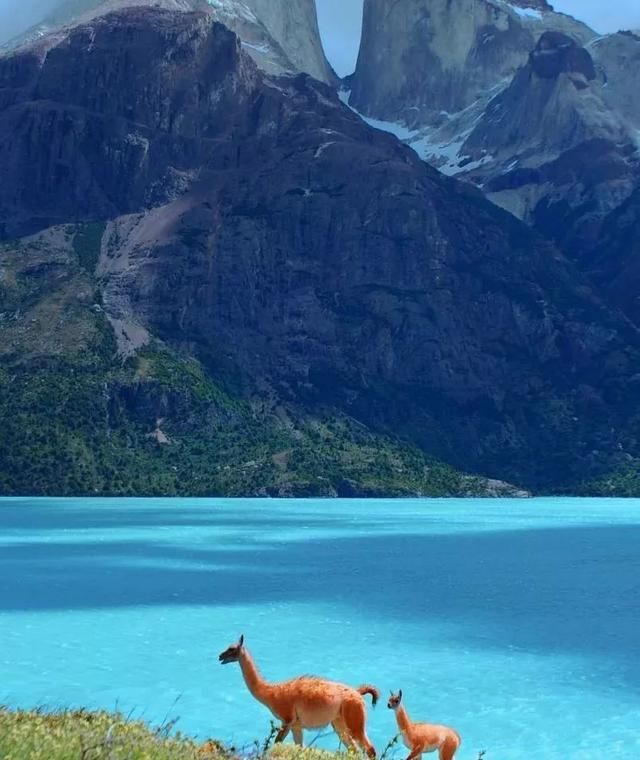 世界最佳旅游冒险目的地:智利