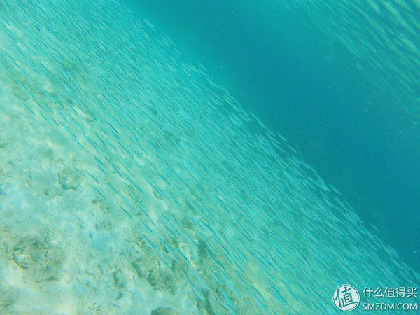 头脑一热，去马来西亚热浪岛了