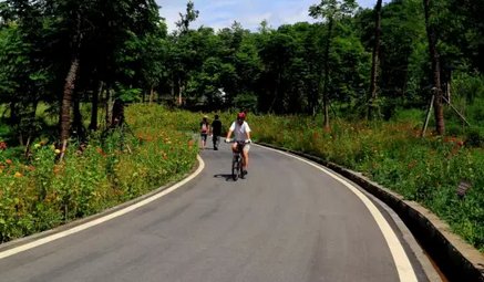 收藏这份重庆骑车线路指南 约个骑行游