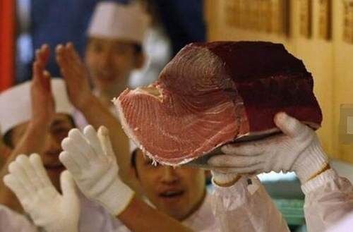 世界上最昂贵的食用鱼，大部分人都吃不起!