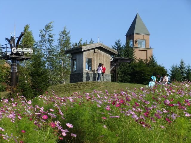 去日本最“慢”的城市感受四季变化
