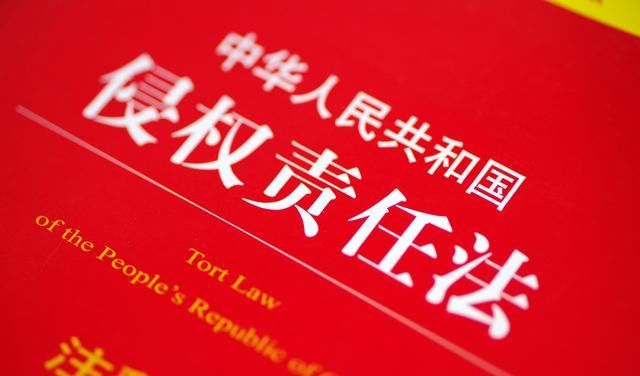 被抚养人生活费