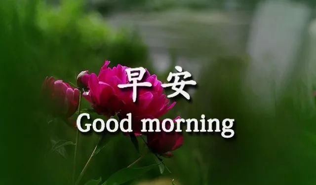 周日冬季早安祝福语