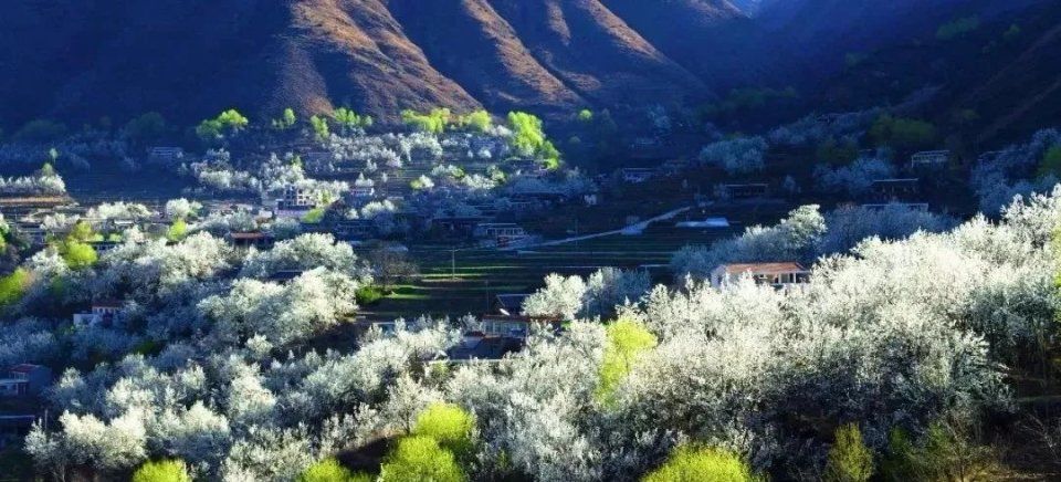 【每月在路上】三月,送你最in的赏花攻略,十大赏花胜地,愿你不