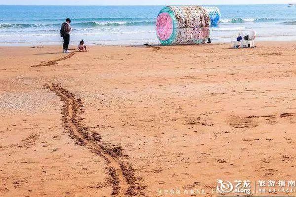 有的时候,就想一个人走走