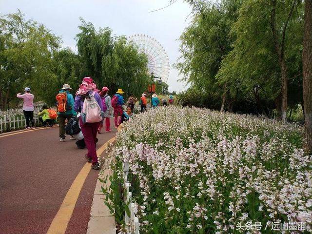 滇池湖畔古滇国，郑和故里展新颜