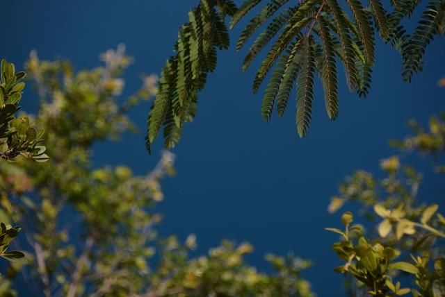 泸沽湖畔的女儿国,最是云南避暑秘境