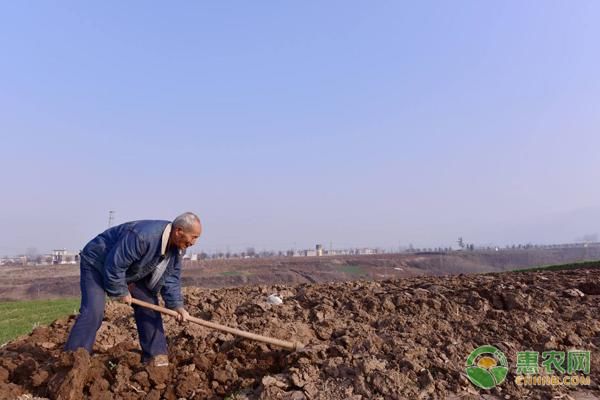 2018农村土地有这3种情况将不能种地，看看有你吗？