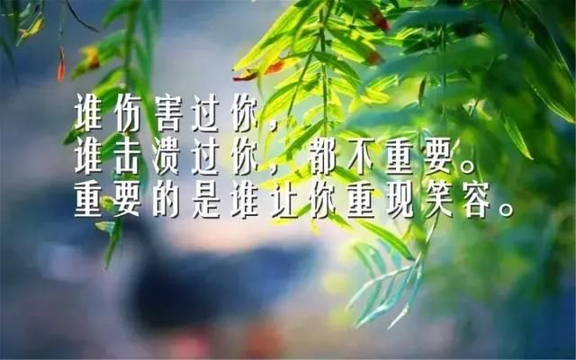最美早上好动画大全图片带字和表情,早安v动画鲜花图片搞表情包的动态图片