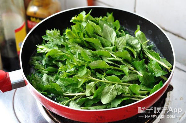 不负春光不负卿，来颗野菜行不行？