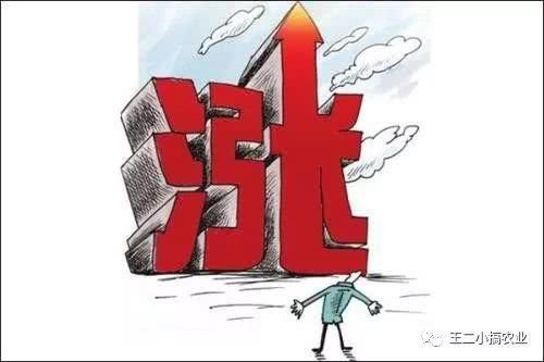 不同于养猪的叫苦连天,这些年养牛的发展一直蒸蒸日上