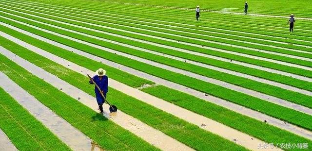 家庭农场注册登记的流程和好处 你都知道吗？