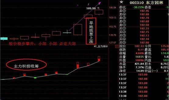 一位大学教授扬言：只要牢记这类形态铁律，大涨牛股唾手可得！