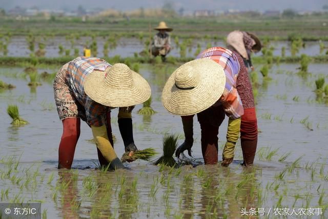 一生产队长说；农村女人回家才能振兴乡村，这5个理由很实在！