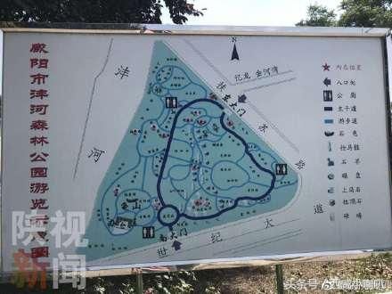 咸阳市沣河城市森林公园无健身器材还闭园早