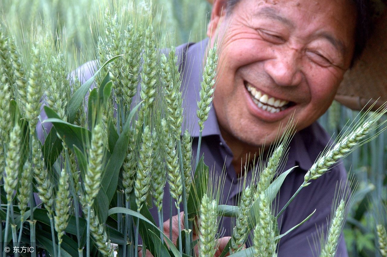 我认为设立中国农民丰收节有意义