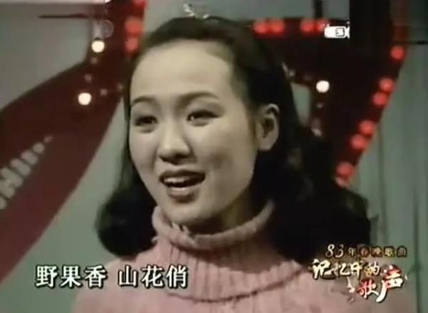 的主题歌《大海啊故乡》,电影记录片《鸽子》的主题歌《飞吧鸽子》