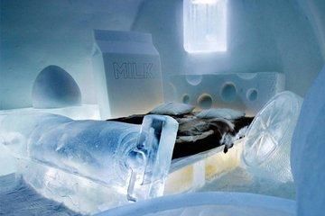 全球第一家, 竟是天山童姥同款, 而且一年一个样!