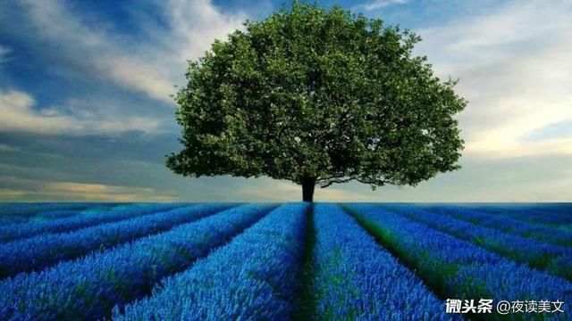 我把我的炒股经历和经验分享给大家，希望能唤起股民朋友的共鸣