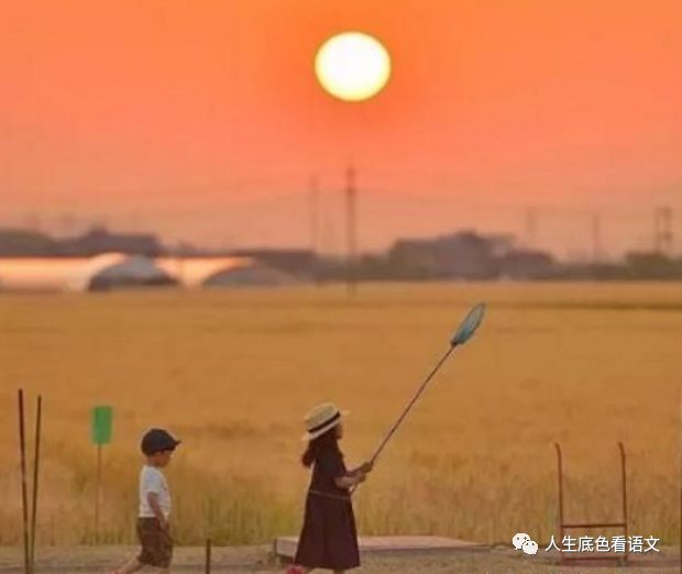 语文数学,打动写好身边事,鲜活真实下笔v语文人初中性质初中和二次函数图像的图片