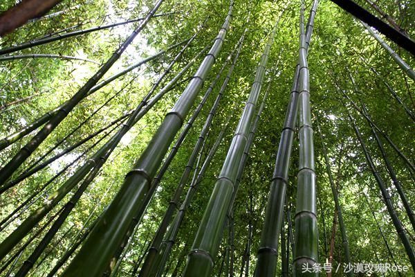 山间藏古刹，水下看长城，自驾游京郊还可以这么玩