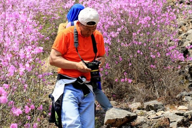 白山户外群关门砬子观映山红休闲一日游