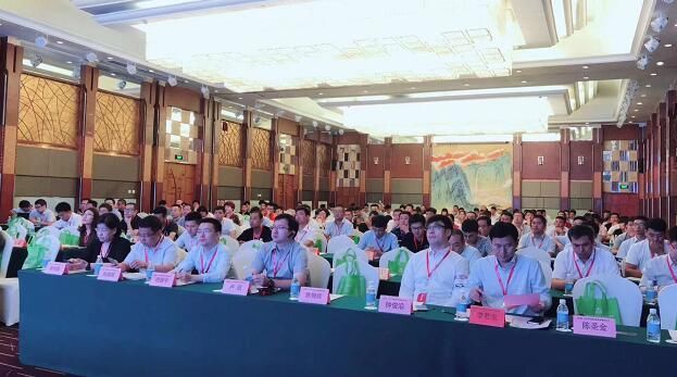 断臂求生,不要再抱有幻想531后谋发展 2018中