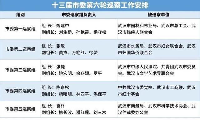 武汉:十三届市委第六轮巡察和2019年第一轮区