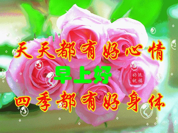 最漂亮早上好表情大全图片,早上好v表情语图片表情a表情动态包很夸张的图片