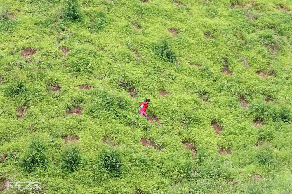 跟老司机一起去深山老林拉木材，一车能挣900块