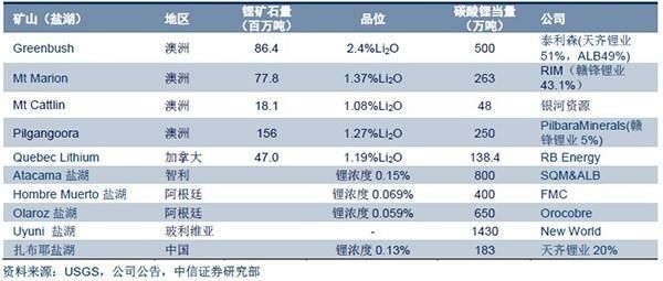 中国电动车行业对全球锂资源的争夺战