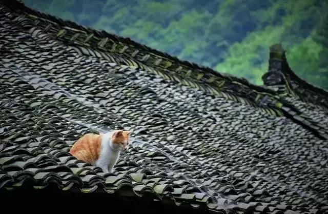 黔东南凯里：你从未了解贵州，直到来到凯里。