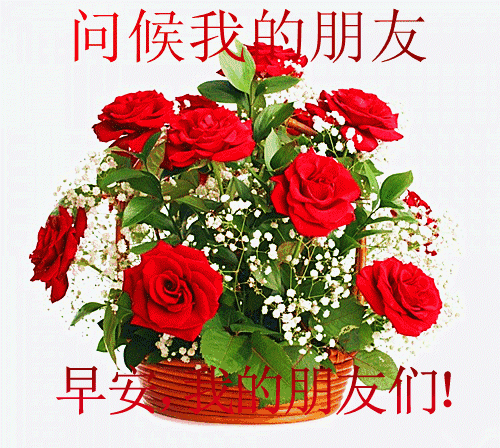 星期三微信最新早上好动态音乐带祝福语搞笑表情包带图片漂亮 星期三微信最新早上好动态音乐带祝福语搞笑表情包带图片漂亮