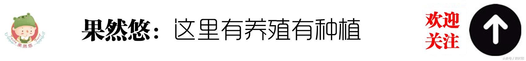 这个虫子在农村被用来钓鱼，如今被东北农民拿来一年挣上百万