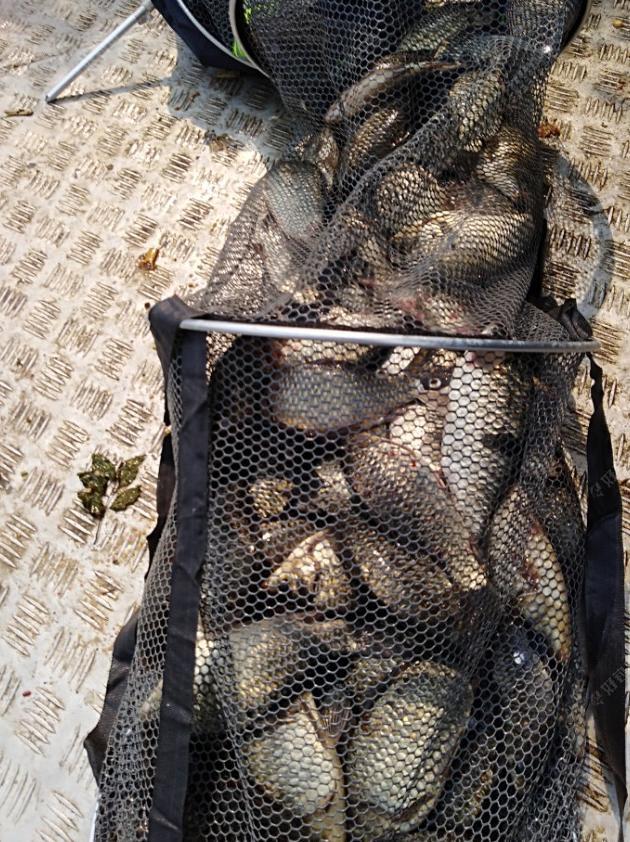 回头看2018,谈谈一年的感悟与收获